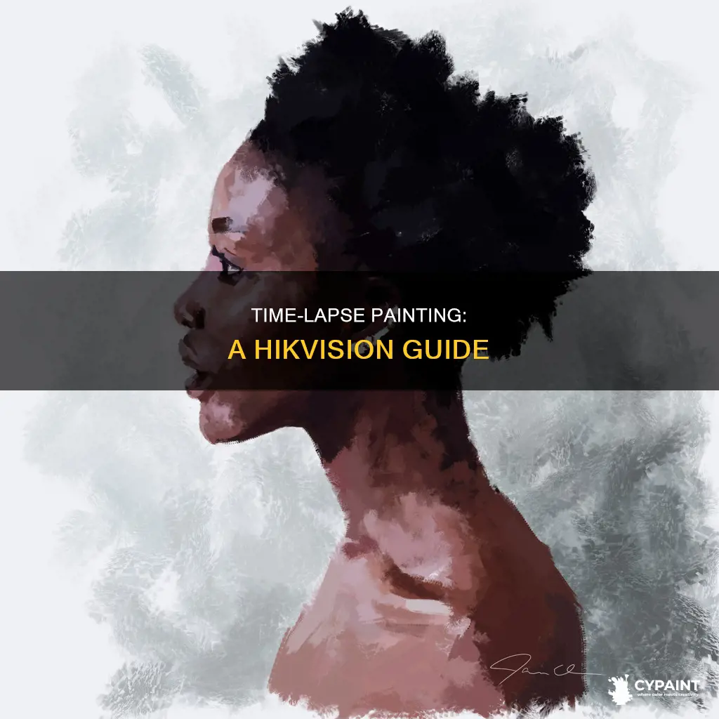 how to time lapse several hours of painting hikvision
