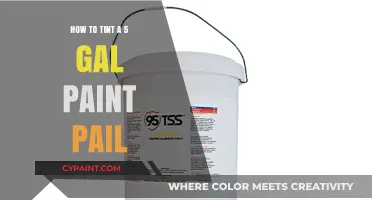 Mastering Paint Tinting: A Step-by-Step Guide for 5-Gallon Pails