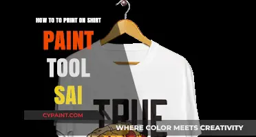Customizing Shirts: Using Paint Tool Sai