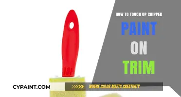 Quick Fix for Chipped Trim: Easy Paint Touch-Up Guide