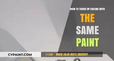 Quickly Touch Up Ceiling Paint Like a Pro