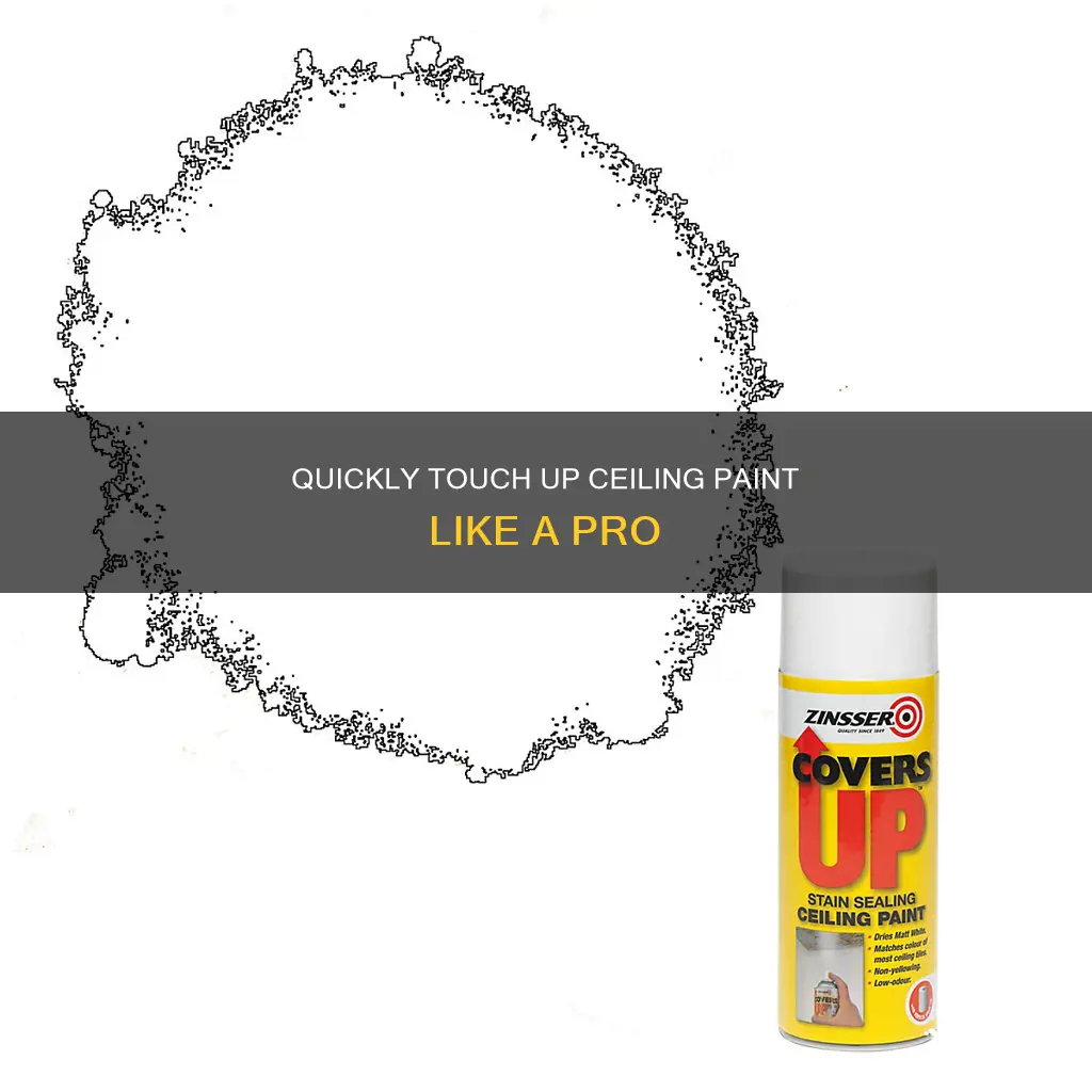 how to touch up cieling with the same paint