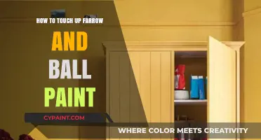 Mastering Farrow & Ball Paint Touch-Ups: A Step-by-Step Guide