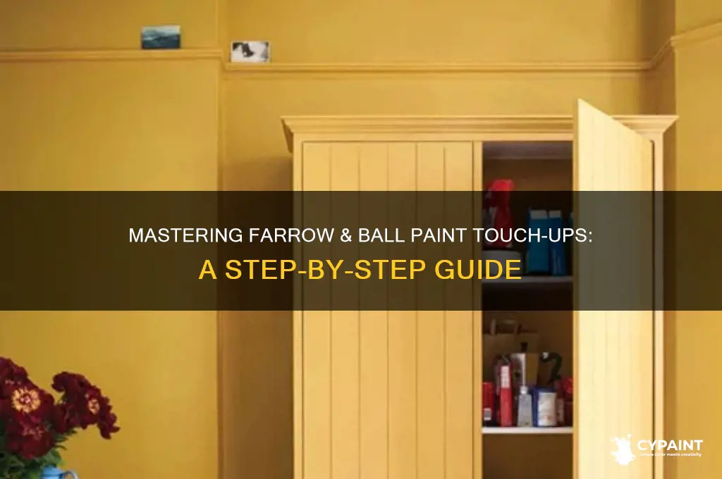 how to touch up farrow and ball paint