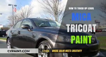 Mastering Lexus Mica Tricoat Paint Touch-Ups: A Step-by-Step Guide