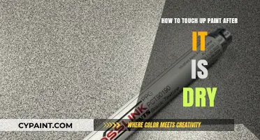 Mastering the Art of Touch-Up Painting