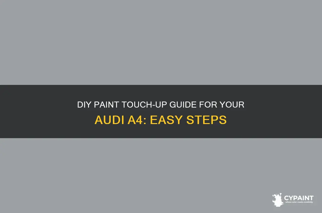 how to touch up paint an audi a4