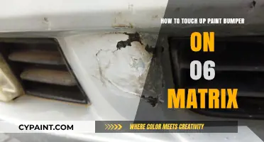 Touch-Up Paint Guide for 06 Matrix Bumpers