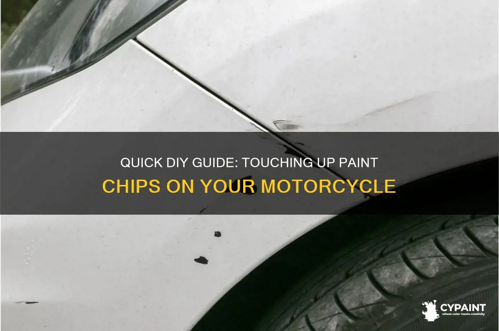 how to touch up paint chips on motorcycle