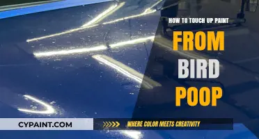 Quick Fix: Touching Up Paint Damaged by Bird Poop