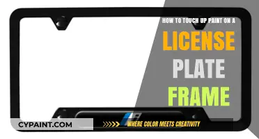 Quick DIY Guide: Touching Up Paint on License Plate Frames