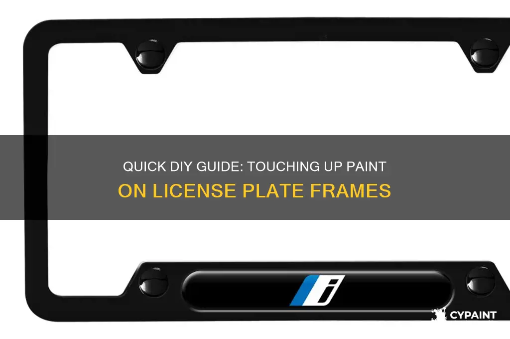 how to touch up paint on a license plate frame