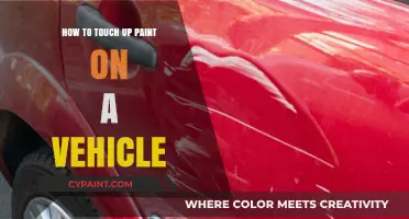 Master Vehicle Paint Touch-Ups: Easy DIY Guide for Flawless Results