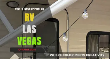 Touch Up Your RV: Las Vegas Paint Guide
