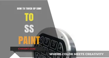 Mastering SIMI to SS Paint Touch-Ups: A Step-by-Step Guide