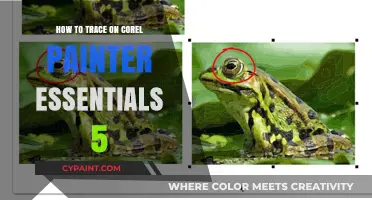 Mastering Tracing Techniques in Corel Painter Essentials 5: A Beginner's Guide
