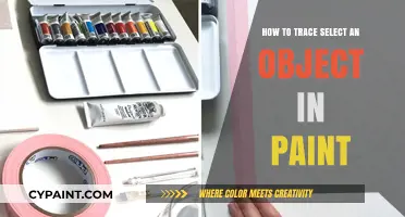 Mastering Object Tracing in Paint: A Step-by-Step Selection Guide
