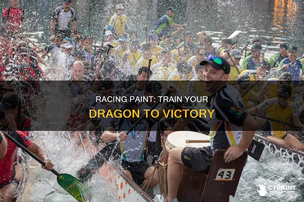 how to train your dragon 2 game racing paint