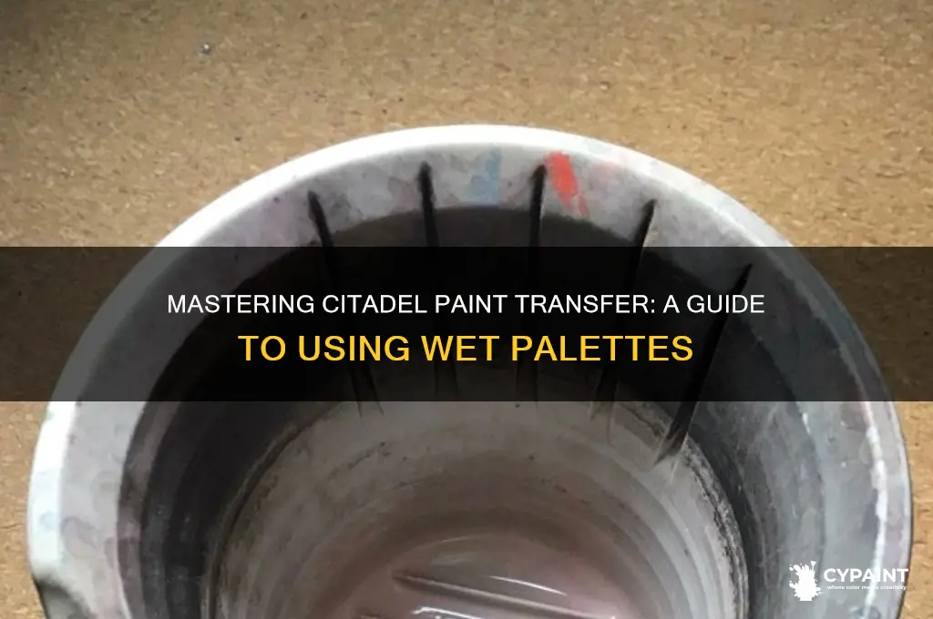 how to transfer citadel paint to wet palette
