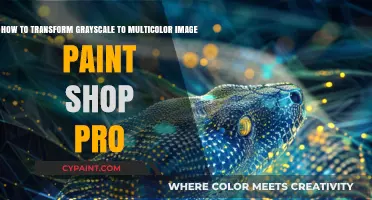 Transform Grayscale to Multicolor in Paint Shop Pro: Easy Steps