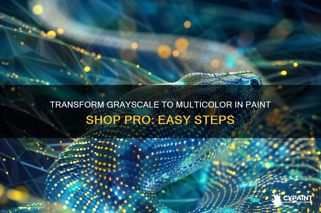 how to transform grayscale to multicolor image paint shop pro