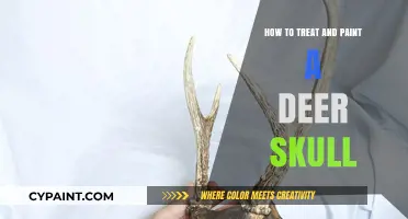 Transforming Nature's Art: A Guide to Treating and Painting Deer Skulls