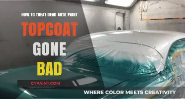 Reviving Dead Auto Paint: Topcoat Treatment Guide