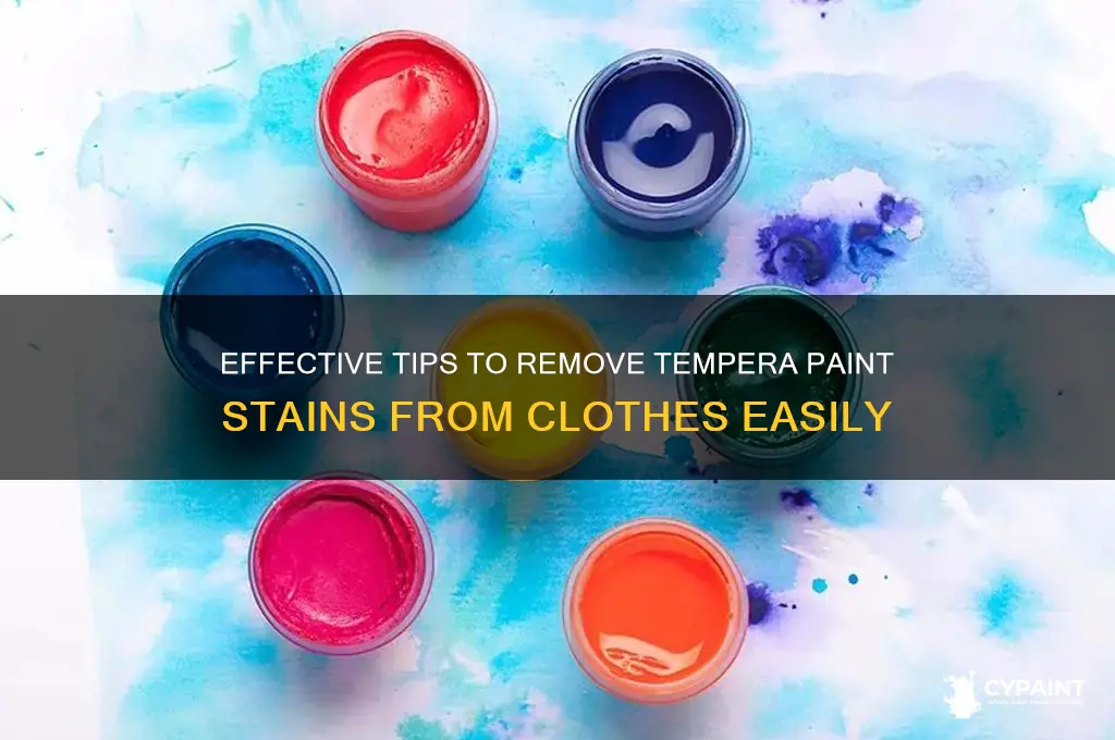 how to treat tempera paint out of clothes