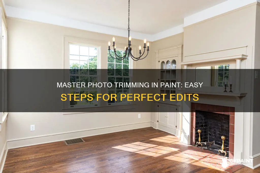 how to trim around a photo in paint