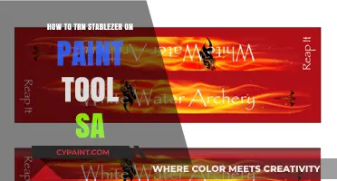 Mastering Paint Tool SAI: A Guide to Using the Stabilizer Tool