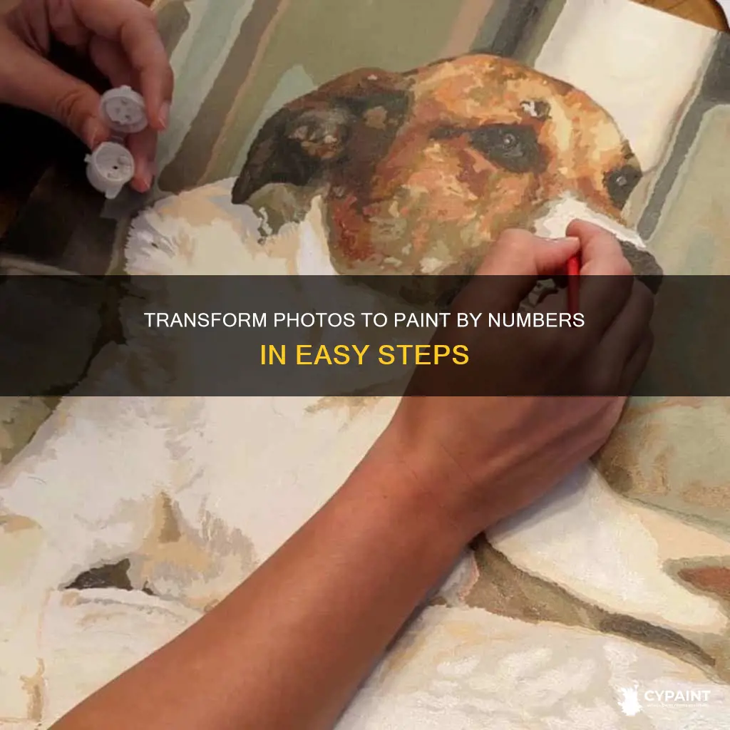 how to turn a photo into paint by number