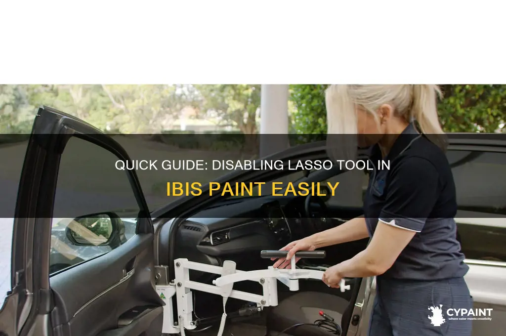 how to turn off lasso on ibis paint