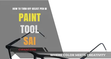 Quick Guide: Disabling Select Pen in Paint Tool SAI