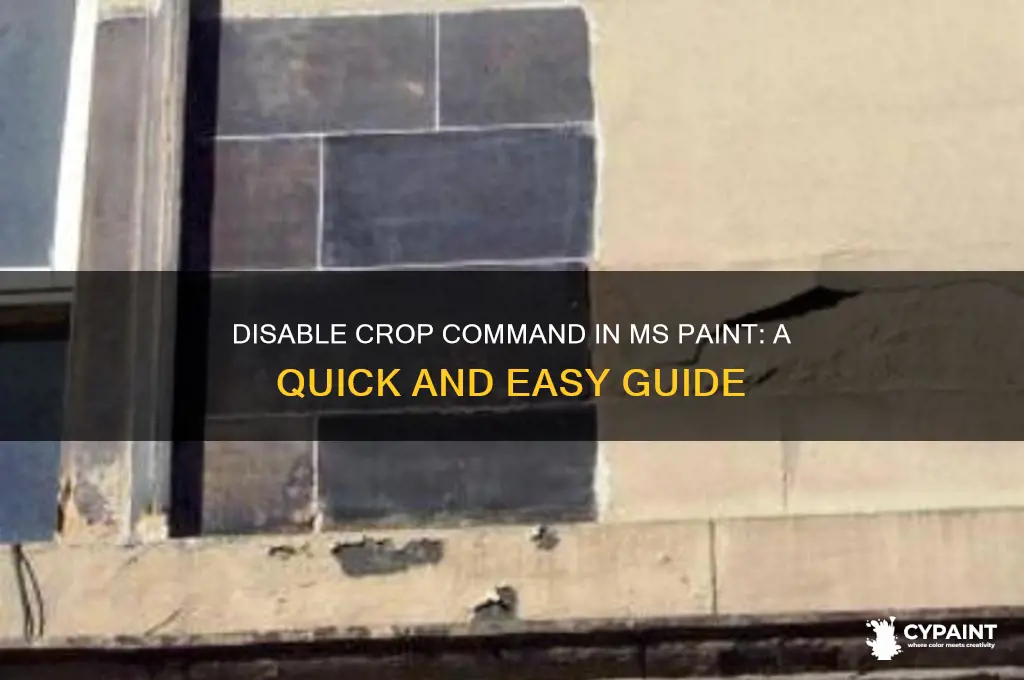 how to turn off the crop command in ms paint