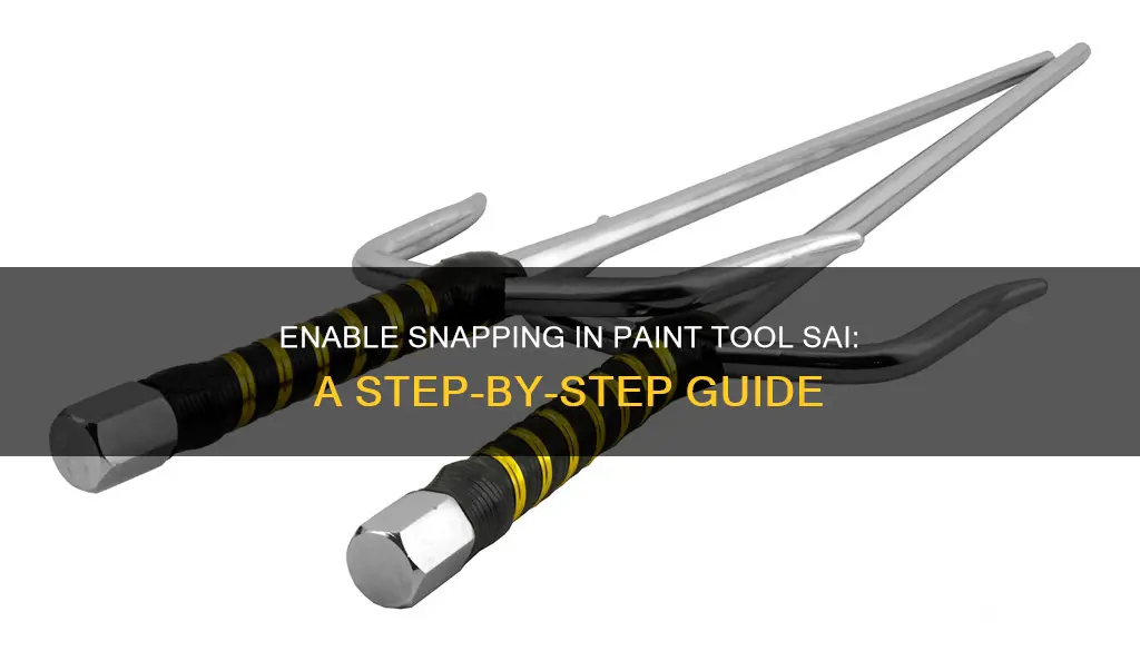how to turn on snapping in paint tool sai