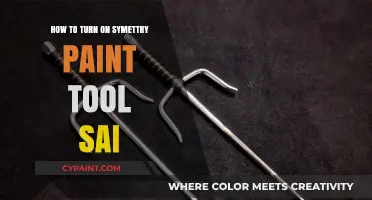 Master Symmetry in Paint Tool SAI: A Step-by-Step Activation Guide