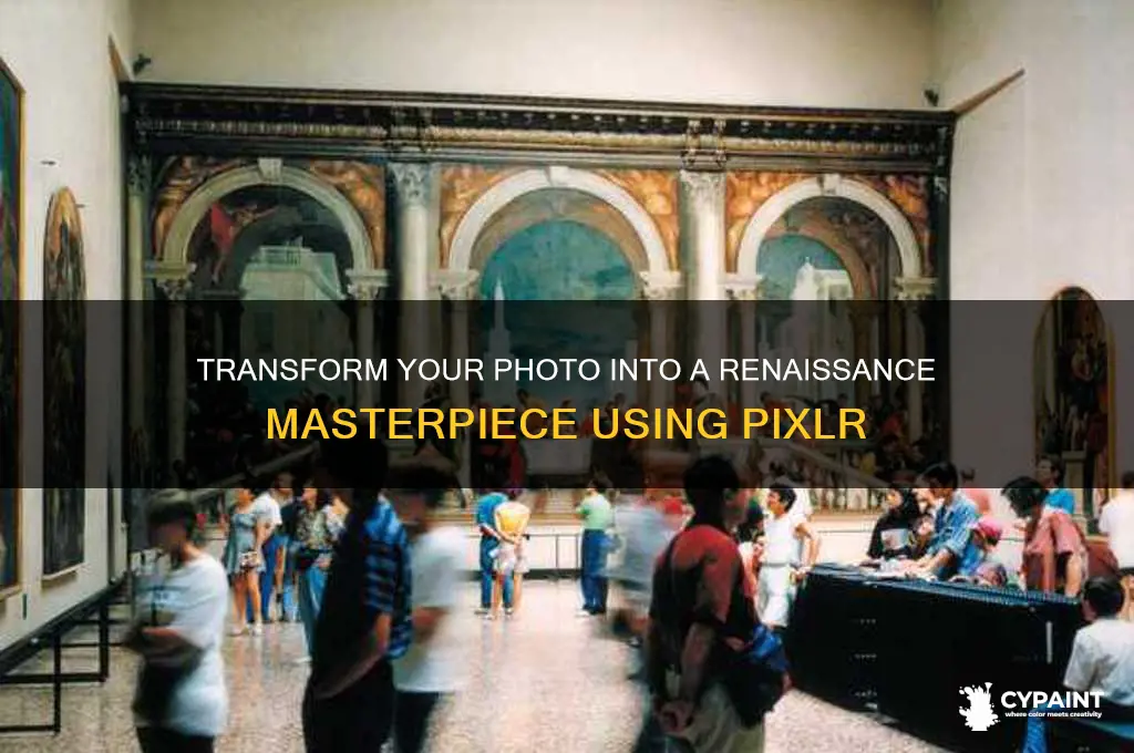 how to turn yourself into a renaissance painting on pixler