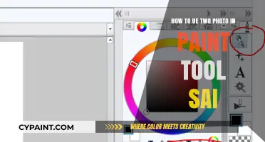 Using Multiple Photos in Paint Tool SAI