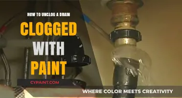 Effective DIY Methods to Unclog Drains Blocked by Paint Residue