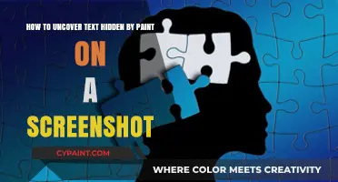 Revealing Hidden Text: Techniques to Uncover Paint-Covered Screenshot Content