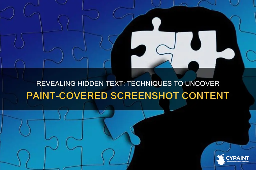 how to uncover text hidden by paint on a screenshot