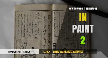Undigitizing Images in Paint 2: A Step-by-Step Guide to Simplify