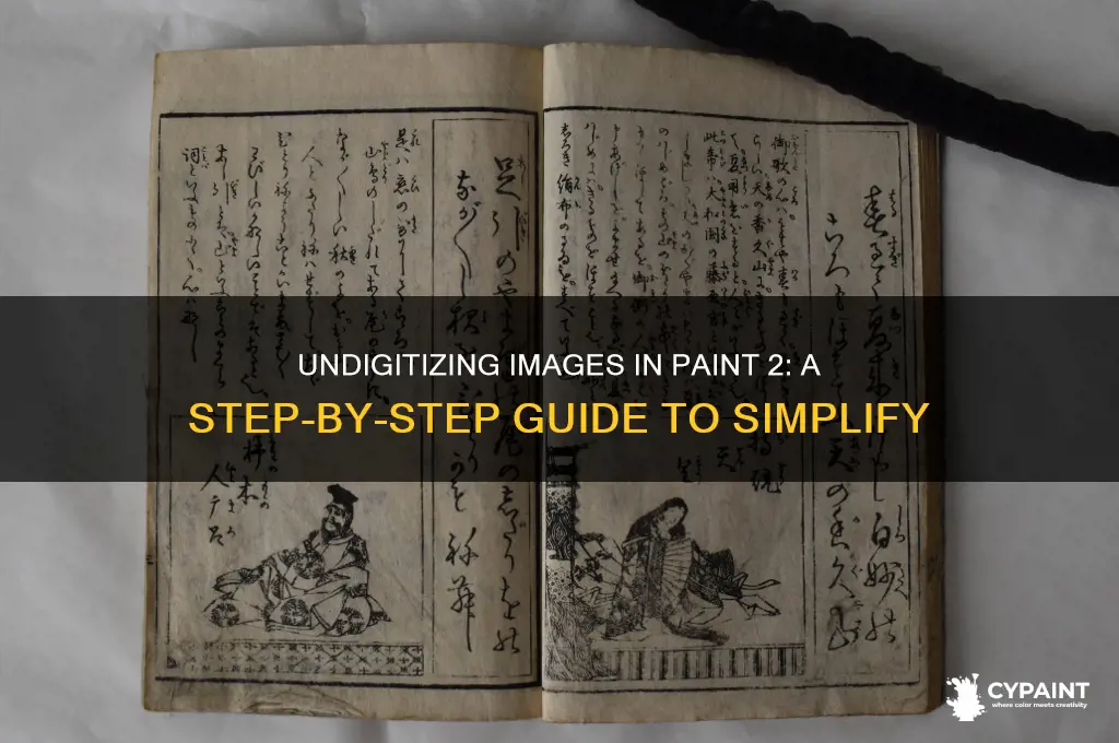 how to undigit the image in paint 2