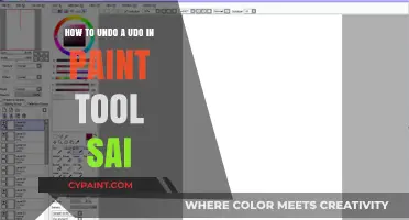 Undoing Mistakes in Paint Tool Sai