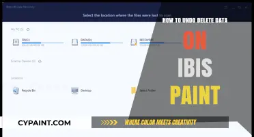 Undo Deleted Data in Ibis Paint: A Step-by-Step Recovery Guide