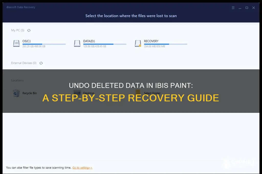 how to undo delete data on ibis paint