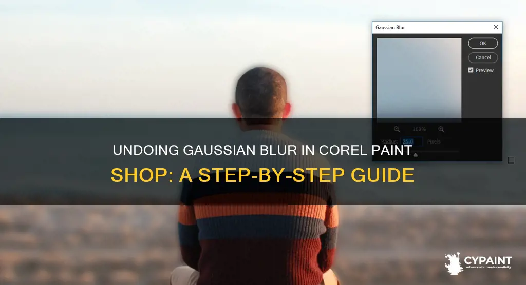 how to undo gaussian blur in corel paint shop