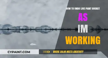 Undoing Live Paint Bucket While Working: Quick Solutions