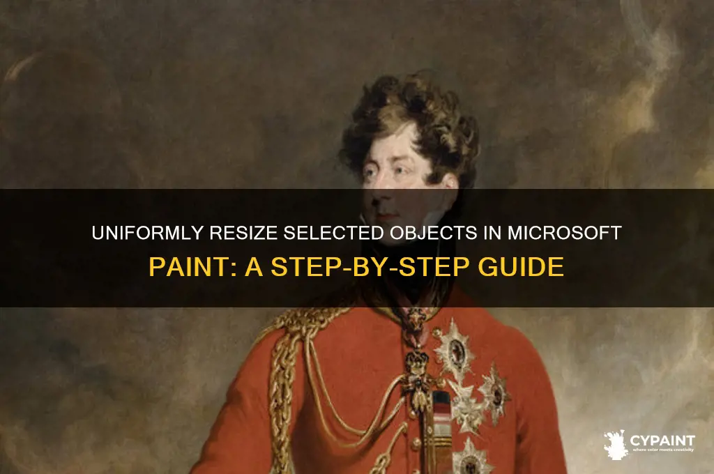 how to uniformly change selected size microsoft paint
