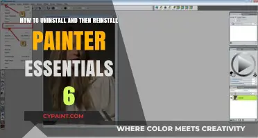 Uninstalling and Reinstalling Painter Essentials 6: A Guide